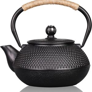 Cast Iron Teapot Japanese Tetsubin Coated with Stainless Steel Infuser